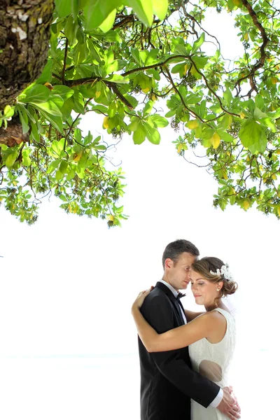 Casal abraçando uns aos outros sob a árvore — Fotografia de Stock