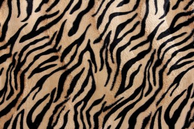 beautiful tiger fur - colorful texture with orange, beige, and b