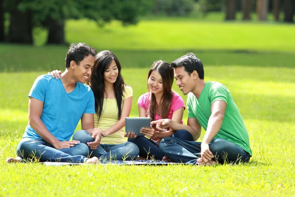 Studentengruppe, die im Park studiert — Stockfoto