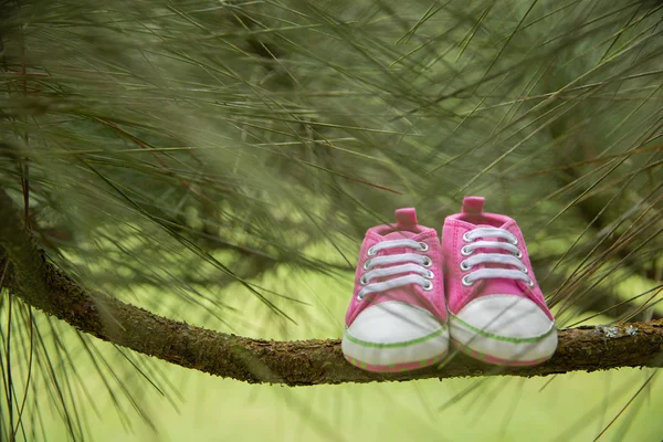 Zapatilla rosa, zapatos para niños pequeños, en una rama, concepto de la naturaleza backgro —  Fotos de Stock