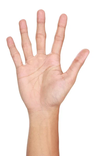 Hand gestures counting five, isolated — Stockfoto