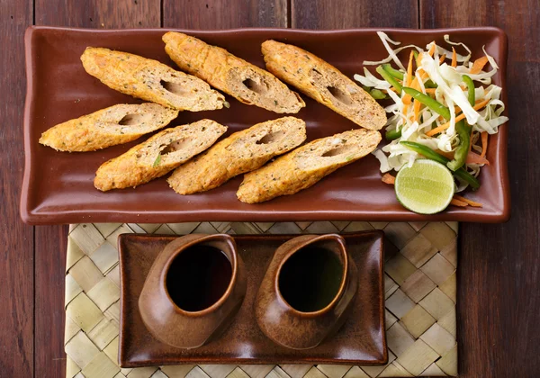 印度卷烤肉串鸡配香草酱和沙拉 — 图库照片