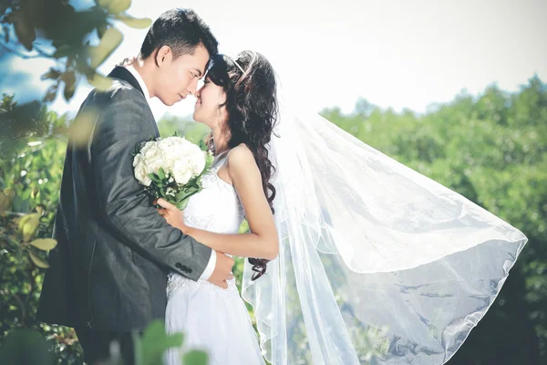 Bräutigam umarmt seine Braut — Stockfoto