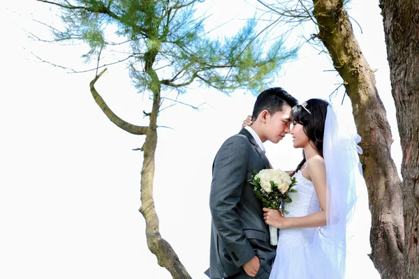 Romantische jonggehuwde paar touching voorhoofd — Stockfoto