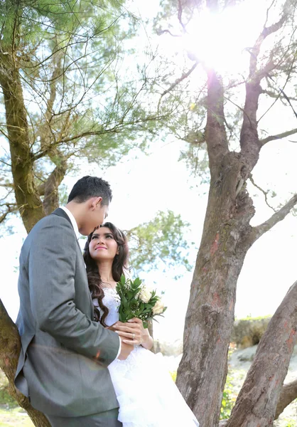 Newlywed couple lean back on tree in sunny day — Stock Photo, Image