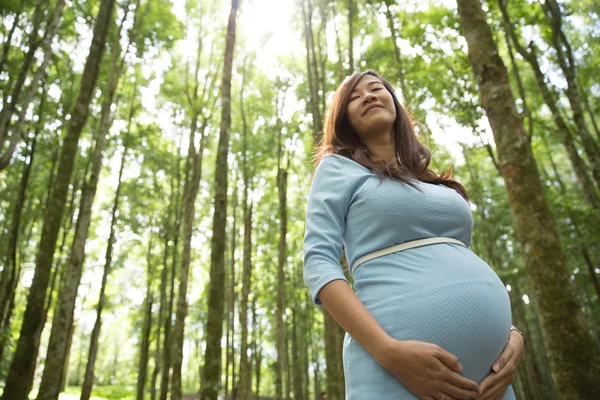 Asiática mulher grávida apreciando a natureza — Fotografia de Stock