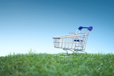 Arabası yeşil çimen, yeşil alışveriş kavramı üzerinde