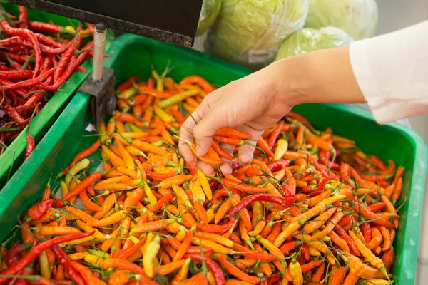 Chilli peppar på stall på marknaden, asiatiska örter — Stockfoto
