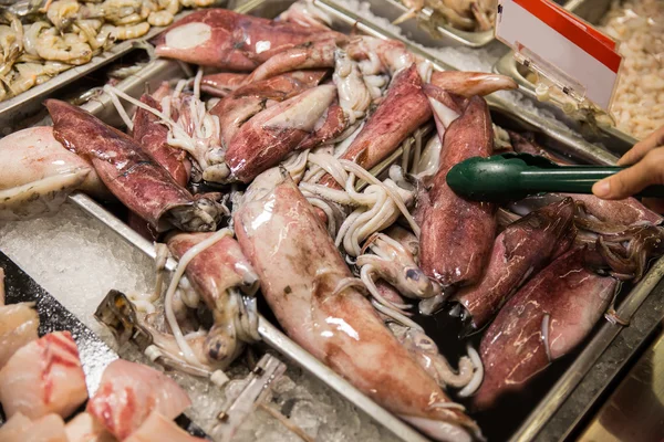 Cuttlefish indonésio em uma bandeja em um mercado tradicional — Fotografia de Stock