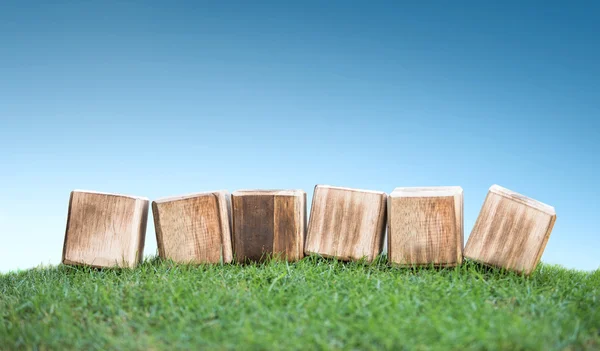 Bloques de madera en una hierba verde — Foto de Stock