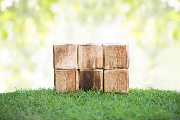 Holzklötze auf einem grünen Gras — Stockfoto