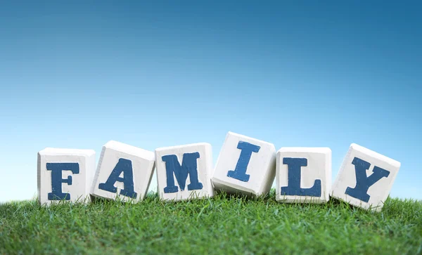 FAMIGLIA segno fatto di blocchi di legno su un'erba verde — Foto Stock