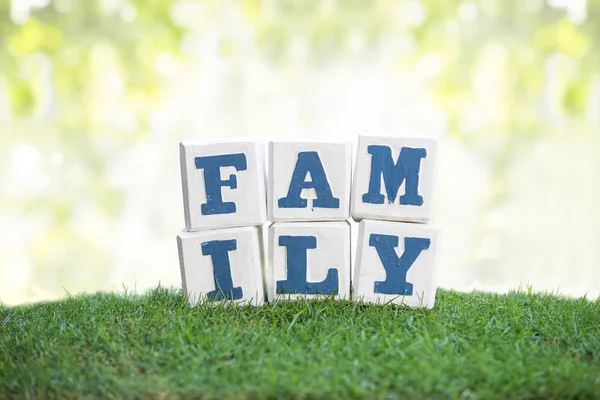 FAMIGLIA segno fatto di blocchi di legno su un'erba verde — Foto Stock