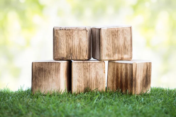 緑の芝生の上の木製のブロック — ストック写真