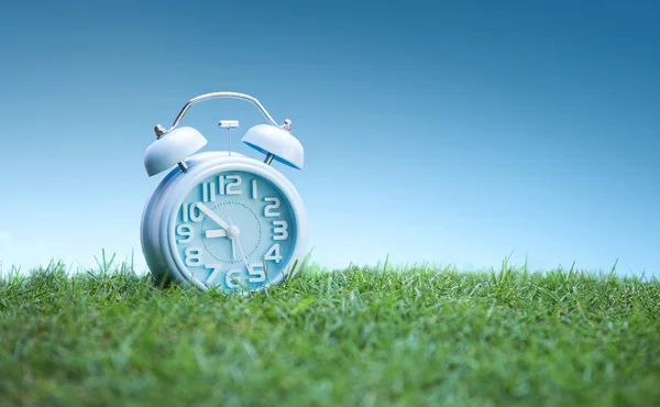 Cute blue alarm clock on green grass, white background — Stock Photo, Image