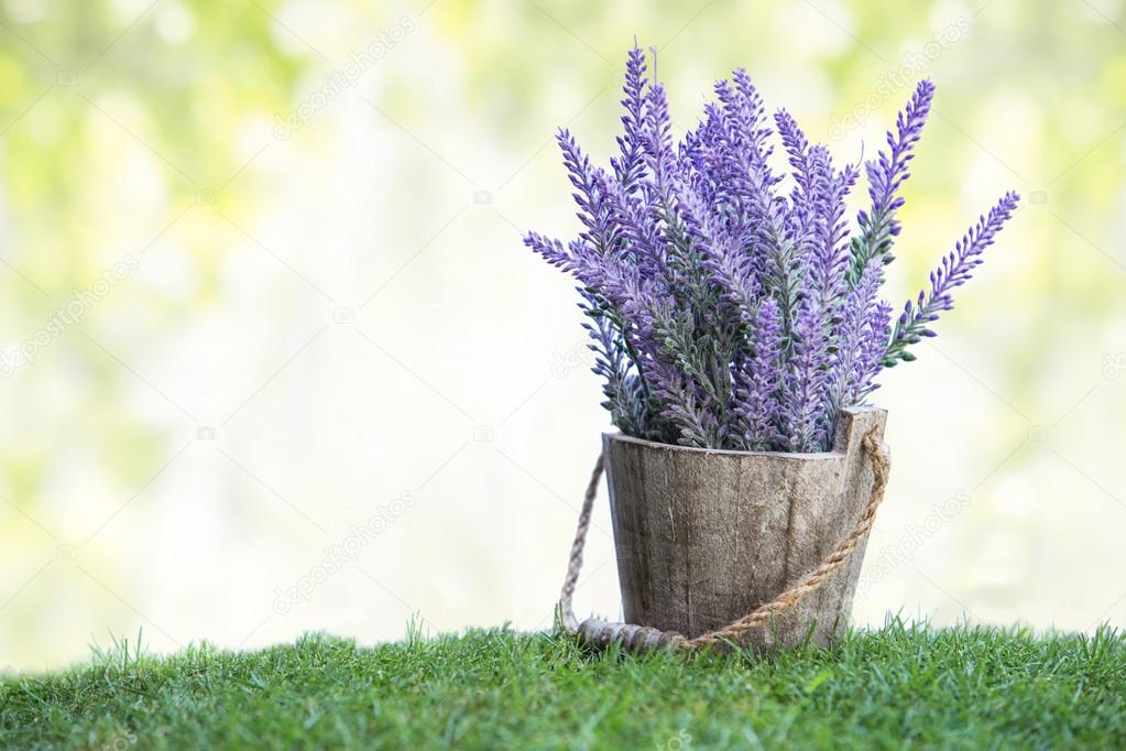 A bunch of violet flowers on a wooden pot in green grass