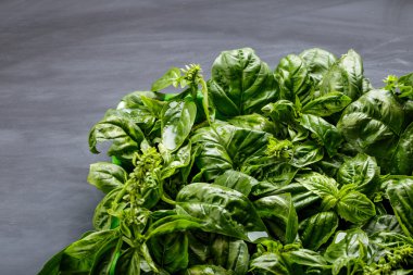 taze fesleğen yaprağı