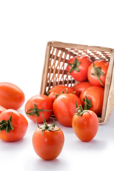 Tomaten aus Rattankorb verschüttet — Stockfoto