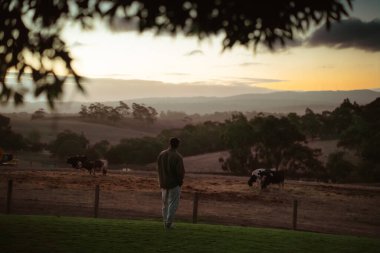Huzurlu bir anın tadını çıkarın. Doğayla çevrili huzurlu bir kırsal çiftlikte gün batımını seyredin.