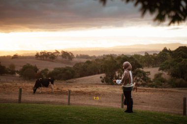 Huzurlu bir çiftlikte bir insan ve otlayan bir inekle baş döndürücü bir gün batımı