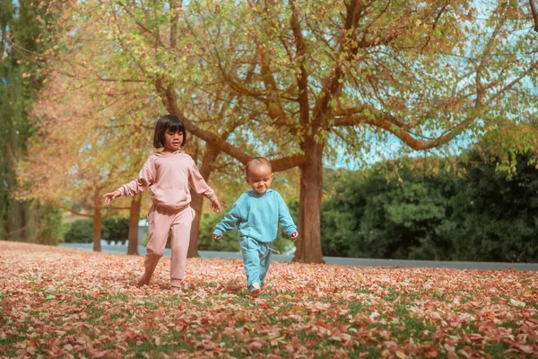 Çocuklar sonbahar yapraklarını keşfediyor, iki çocuk solgun yaprakların arasında geziniyor.