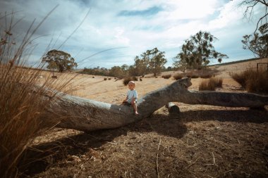 Bir çocuk, huzurlu bir arazide devrilmiş bir ağaca tırmanmaktan zevk alır..