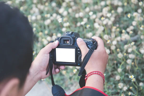 Homme prenant une photo d'une fleur — Photo