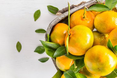 bahçeden taze portakal