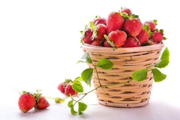 Strawberries fresh from garden in basket — Stock Photo, Image