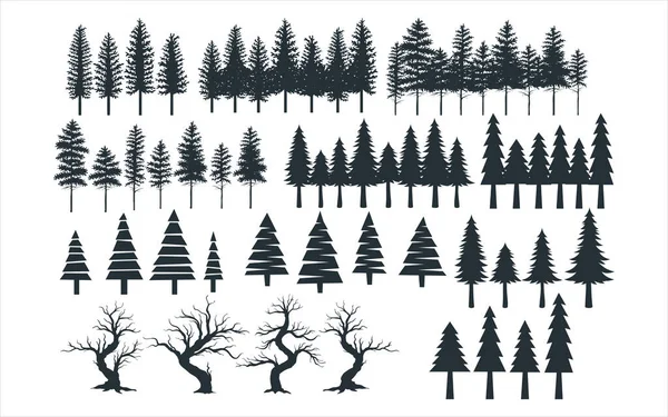 Yapıştırma Dekorasyon Kesme Yazdırma Için Çeşitli Çam Ağacı Vektör Grafik — Stok Vektör