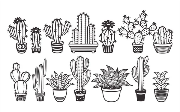 Cute Cactus Succulent Plant Vector Graphic Design Template Set Sticker — Stock Vector