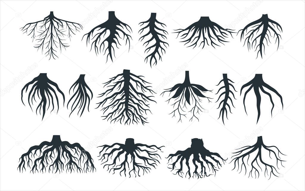 assorted plant root type shape vector graphic design template set for sticker, decoration, cutting and print file