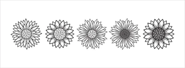 Vektorová Ilustrace Slunečnicového Květu Sunflower Aster Marigold Flower Illustration Design — Stockový vektor