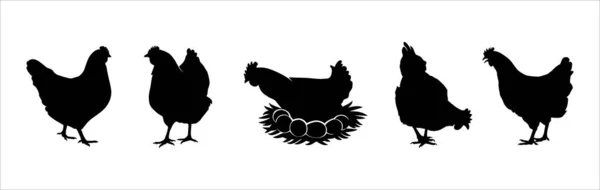 Hen Silhouettes Vector Set — 스톡 벡터