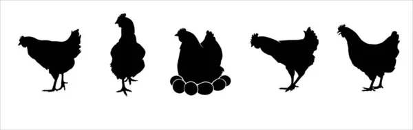 Hen Silhouettes Vector Set — 스톡 벡터