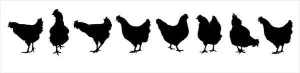 Hen Silhouettes Vector Set — 스톡 벡터