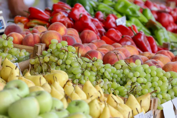 Colorful Variety Summer Autumn Fruits Background — Stock Photo, Image