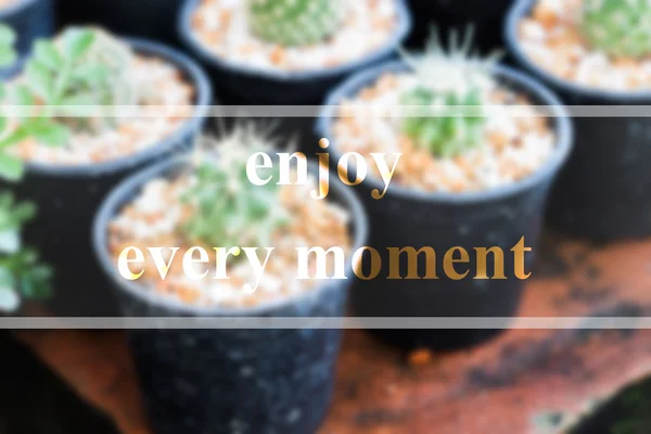 Enjoy every moment inspirational quote