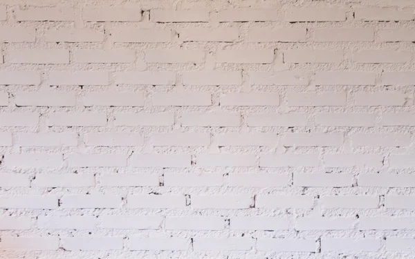 Brick wall decorated in coffee shop — Stock Photo, Image