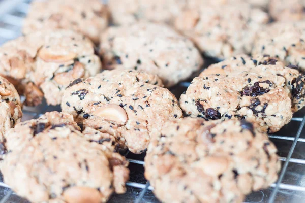 Nahaufnahme Mixed Nuss Cookies Kühlung auf einem Regal — Stockfoto