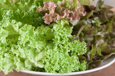 Ahşap masa üzerinde taze hydroponic sebzeler