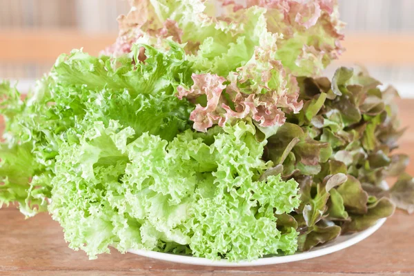 Färska hydroponiska grönsaker på träbord — Stockfoto