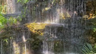 Bahçedeki şelale, stok videosu