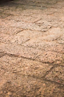 Laterite geçit parkta paterni