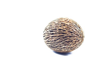 Beyaz arka plan üzerinde izole Cerbera oddloam'ın tohum