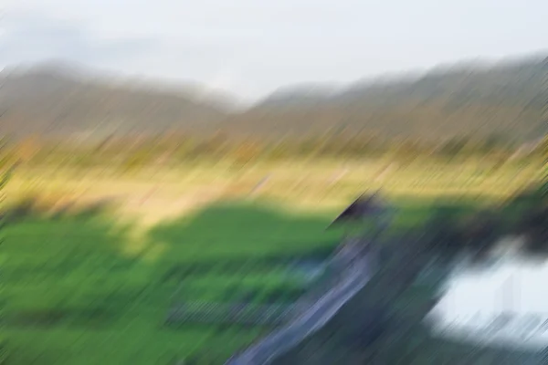 Абстрактное размытие фона с зеленого рисового поля — стоковое фото