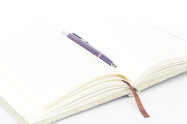beyaz arkaplanda kalemle izole edilmiş dizüstü bilgisayar