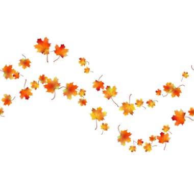 Yatay, pürüzsüz desenli parlak, kurumuş akçaağaç yapraklı sonbahar yeşilliği beyazda izole edilmiş. Grafik tasarım sonbahar sembolü. Kırmızı turuncu sonbahar yaprakları gölgeli. Sonbahar yaprakları mevsimsel arka plan. Vektör