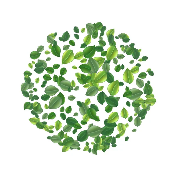 Frame Made Flying Green Tea Leaf Isolated White Leaves Spring — Vettoriale Stock