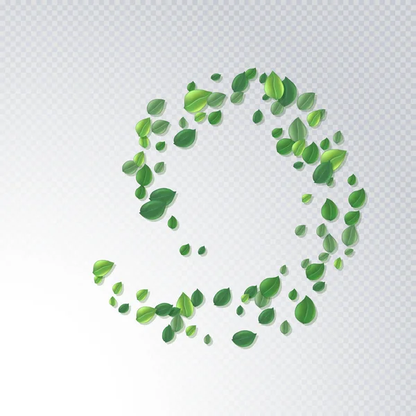 Кругла Рамка Літаючого Зеленого Чайного Листа Ізольована Білому Листя Весняного — стоковий вектор